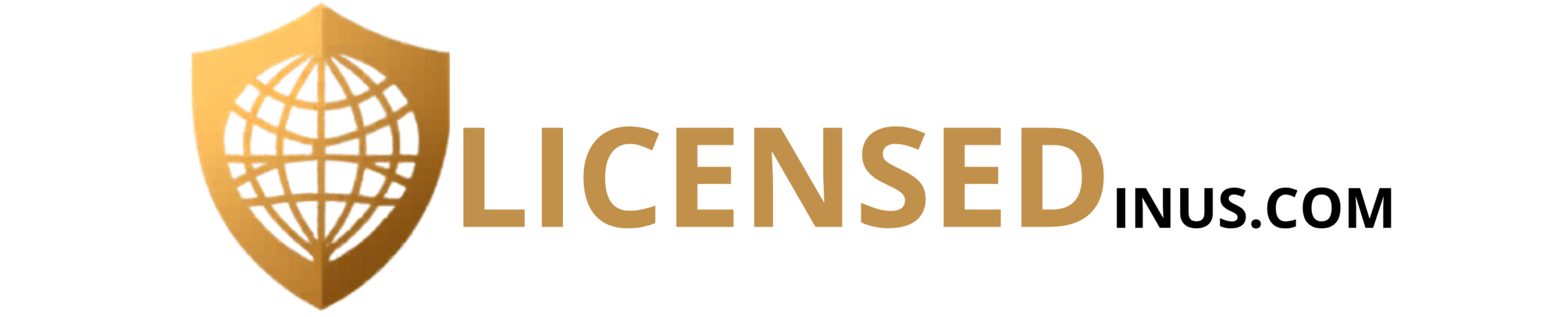 licensedinus.com